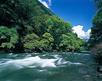 《狂野星球复仇记》定档5月8日发售，首个中文配音预告片发布